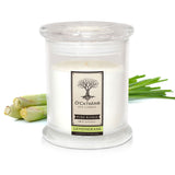 Lemongrass Soy Candle